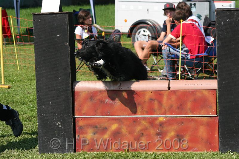 jubil.lusten. 237.jpg